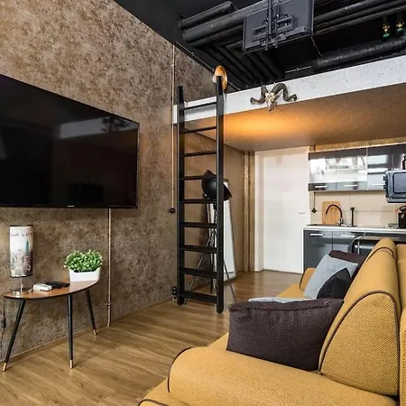 Lägenhet Loft An Der Elbe